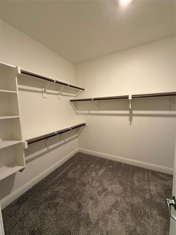 Building Photo - 6033 Dandelion Dr