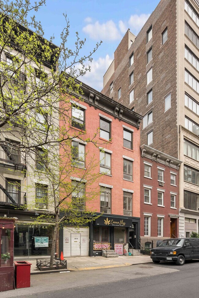 Building Photo - 257 W 19th St