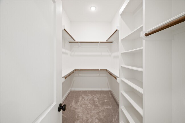 Building Photo - 3506 Talia Wood Ct
