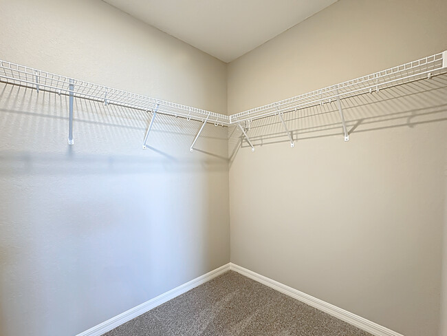 Building Photo - 877 Cypress Creek Run