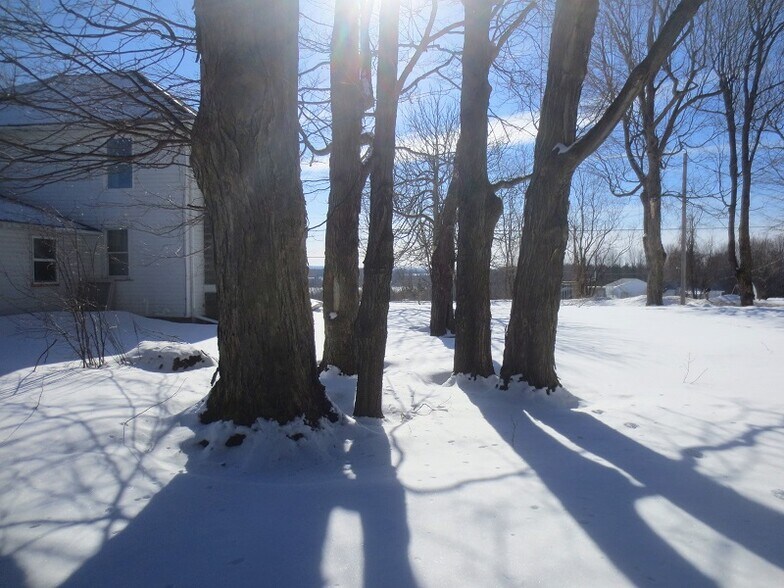 Winter yard - 745 Bagdad Rd