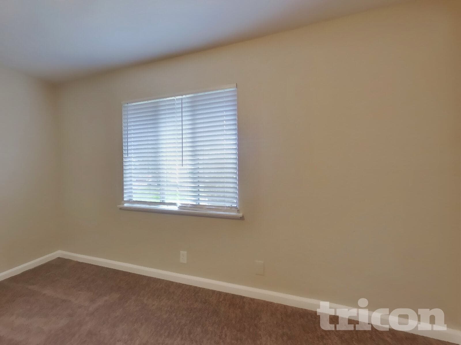 Building Photo - 378 Acacia St