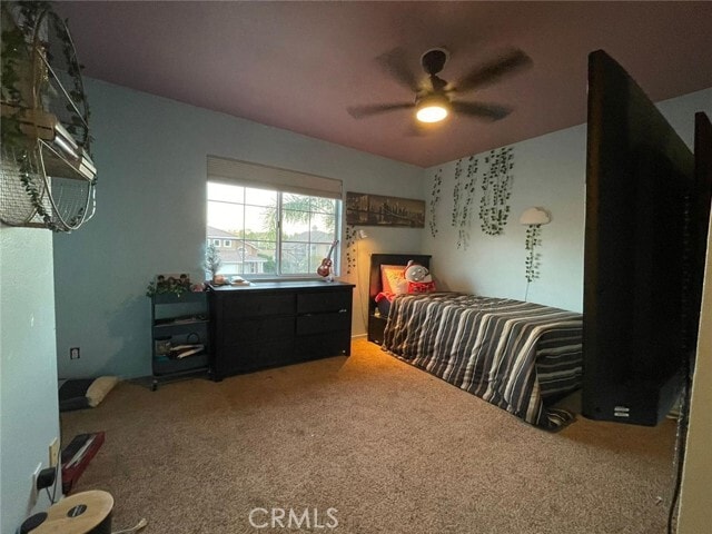 Building Photo - 17 Yellowpine Ln