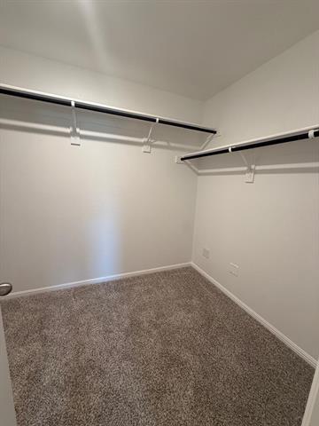 Building Photo - 1628 Alberque Dr