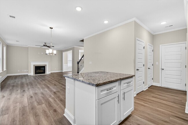 Building Photo - 4 BEDROOM SINGLE FAMILY HOME IN BRASELTON!