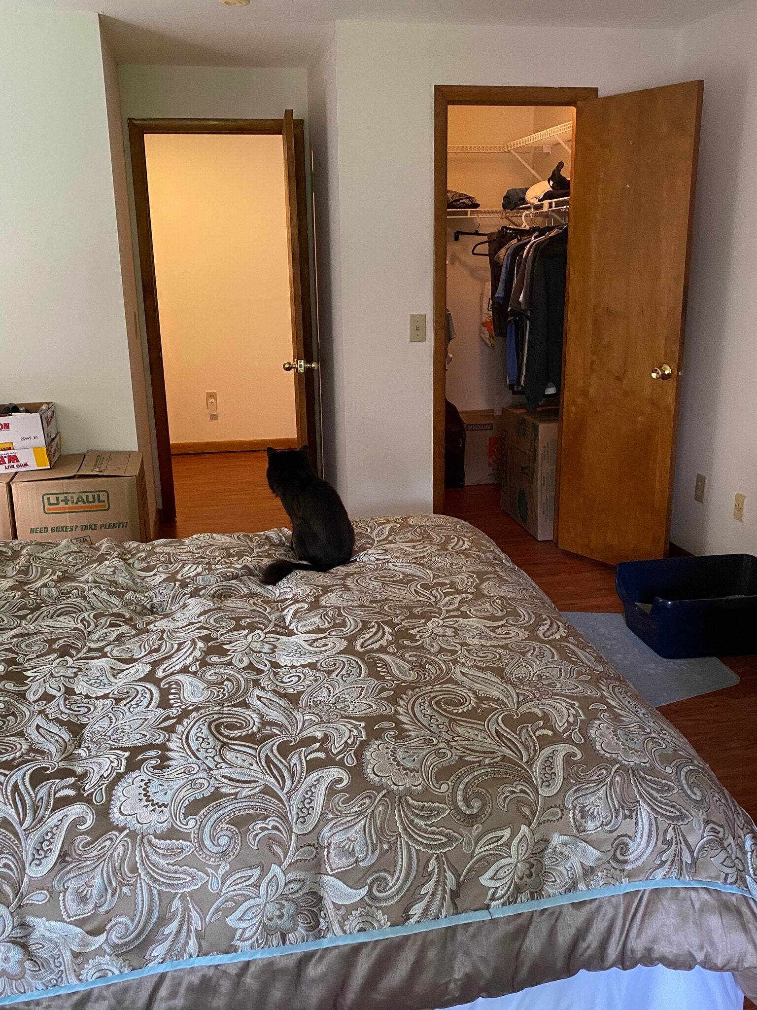 Large walk in closet - 166 Old Brookfield Rd