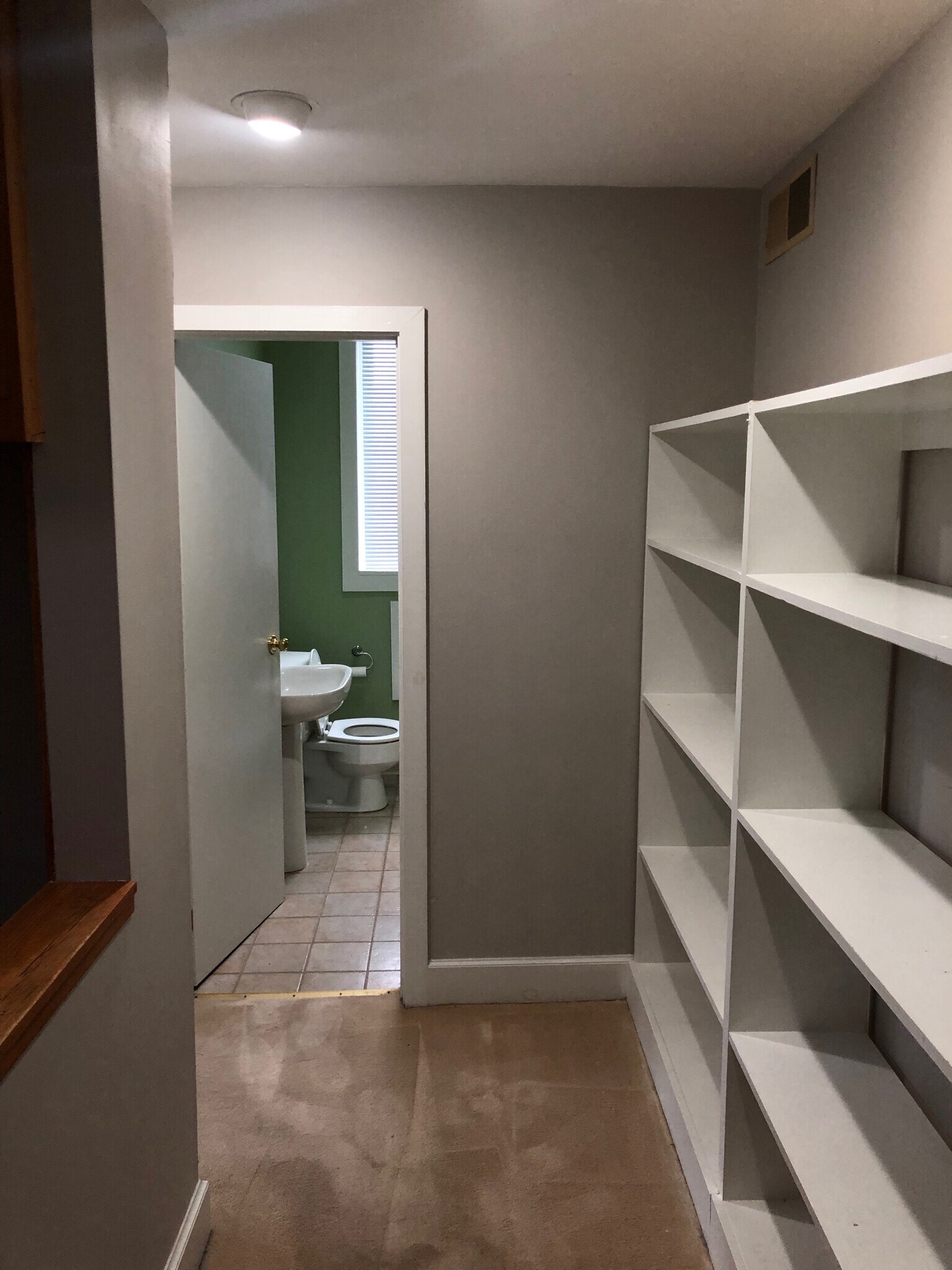 Built-In Bookcases in Hallway Adjacent to Bathroom - 367 Lehigh Ave