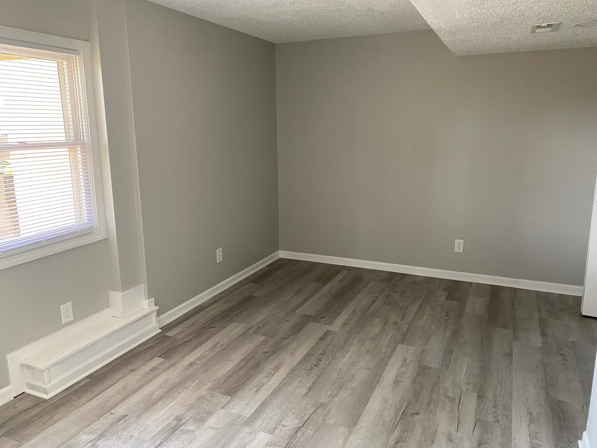 Downstairs Bedroom - 315 Lakeland Dr