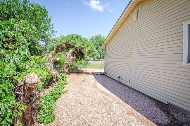 Building Photo - 215 Hillcrest Pl