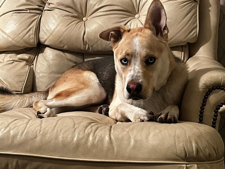 Building Photo - 7010 Dennison St