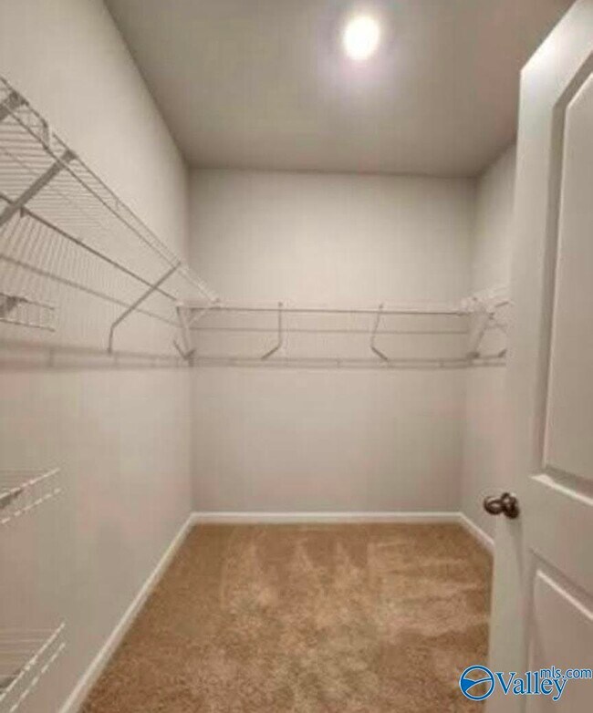 Building Photo - 101 Canonbury Dr