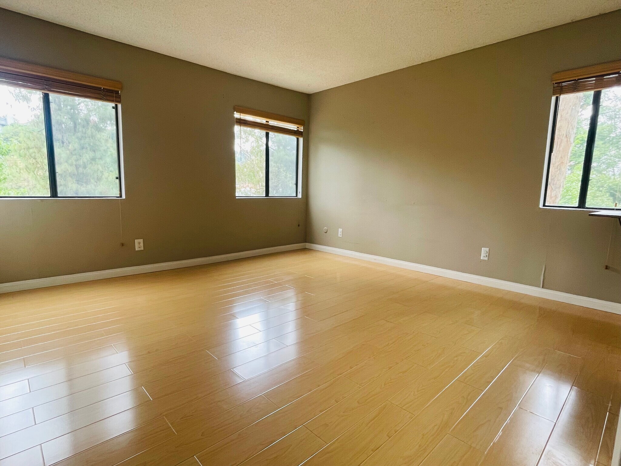 Building Photo - 4866 Via Colina
