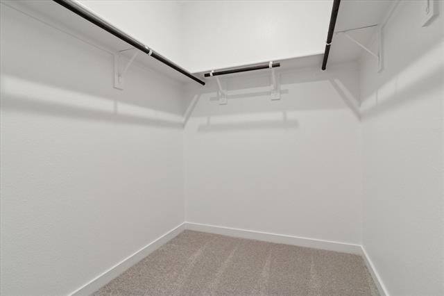 Building Photo - 1805 Alpine Larch Ln