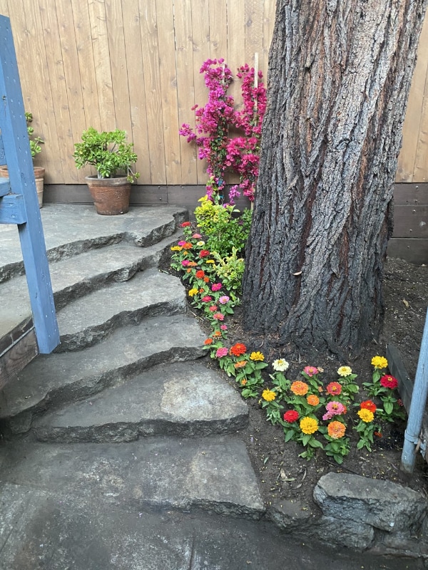 Building Photo - 246 Ashland Ave