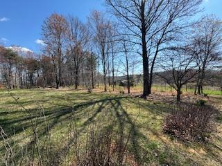 Building Photo - 232 Frying Pan Hollow Rd