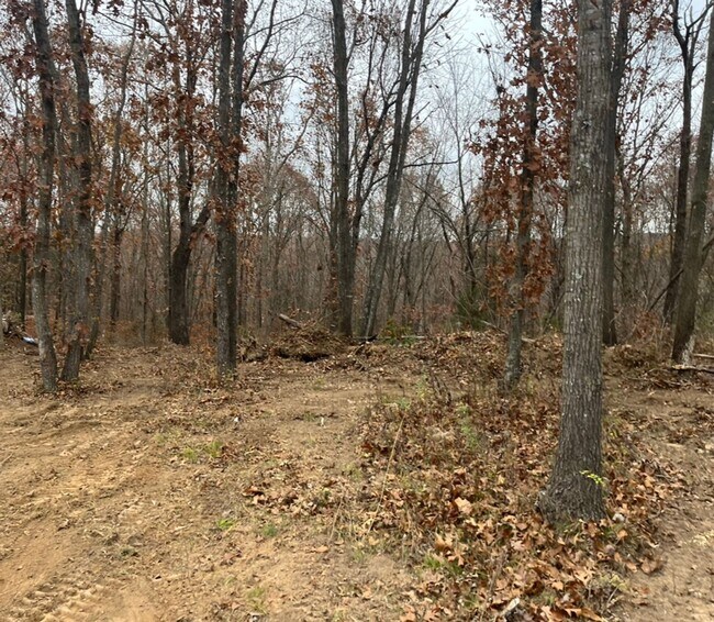 Building Photo - 4.63-Acres! - $390 Month / $700 Down