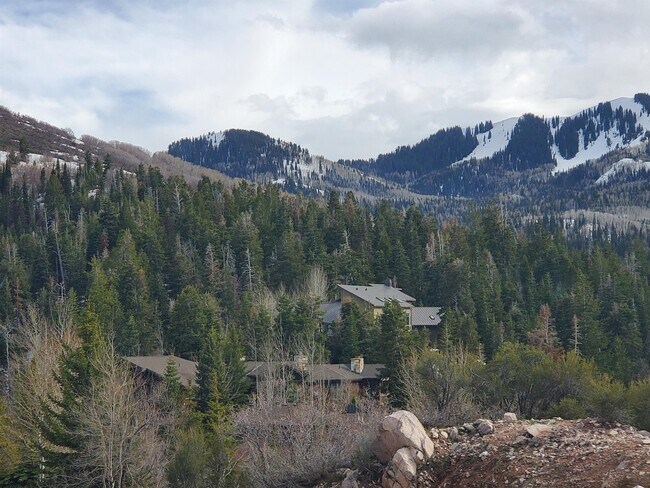 Building Photo - 7104 Canyon Dr
