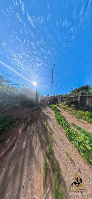 Building Photo - 2389 Empress St