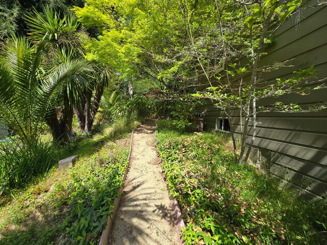 Building Photo - Large and stunning home in rural Sebastopol!