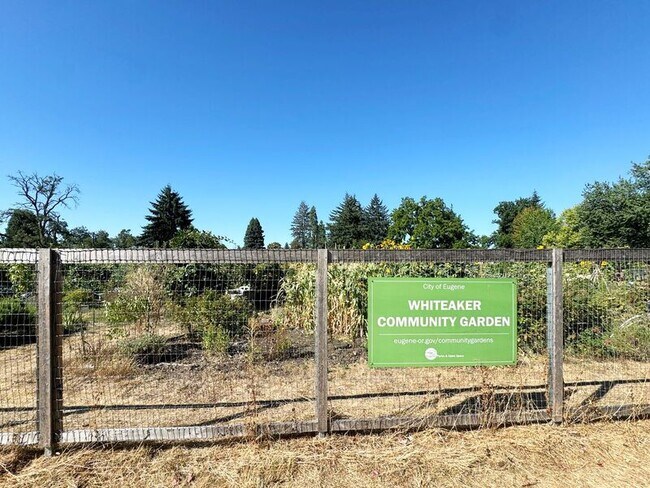 Building Photo - 346 N Grand St