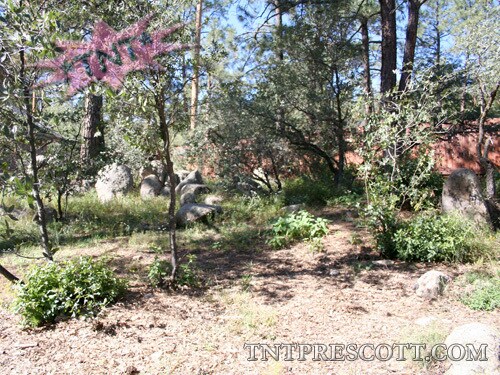 Building Photo - Cabin in Prescott