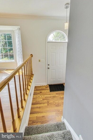 Building Photo - 5 Drumcastle Ct