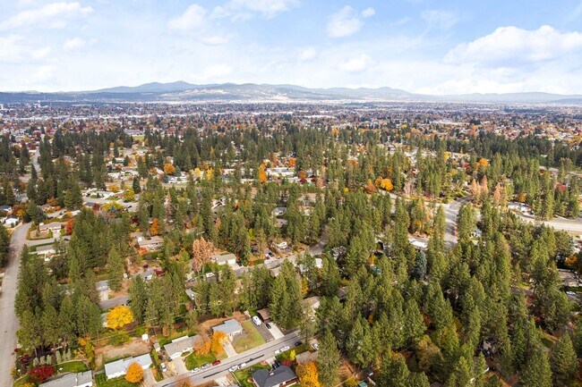 Building Photo - Beautiful South Valley Home! Available Now!