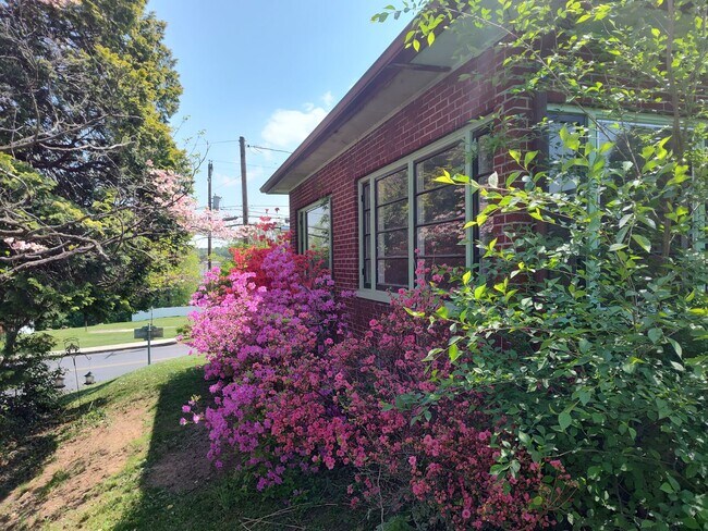 Building Photo - 470 Maple St