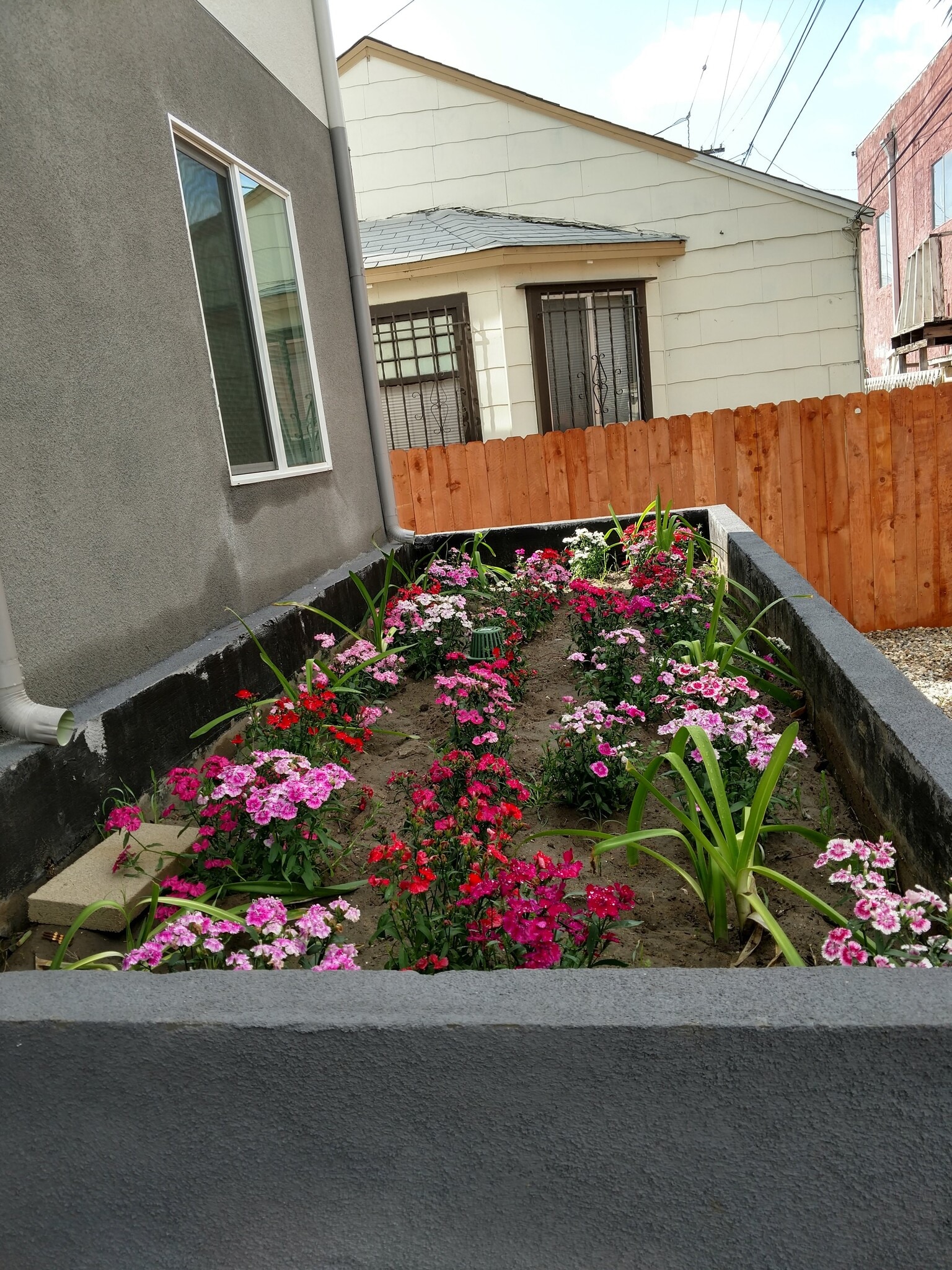 Building Photo - 3961 Halldale Ave