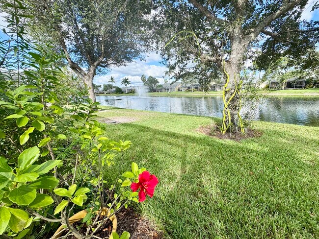 Building Photo - 8578 Ibis Cove Cir