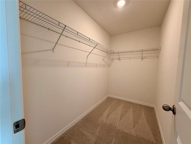 Building Photo - 709 Spartina St