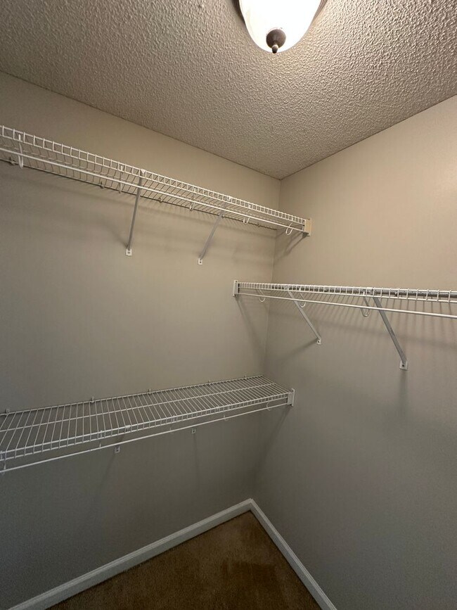 Building Photo - Lovely Cordova home. Fresh Paint and New Carpet! Fenced backyard and eat in kitchen. Pets are wel...