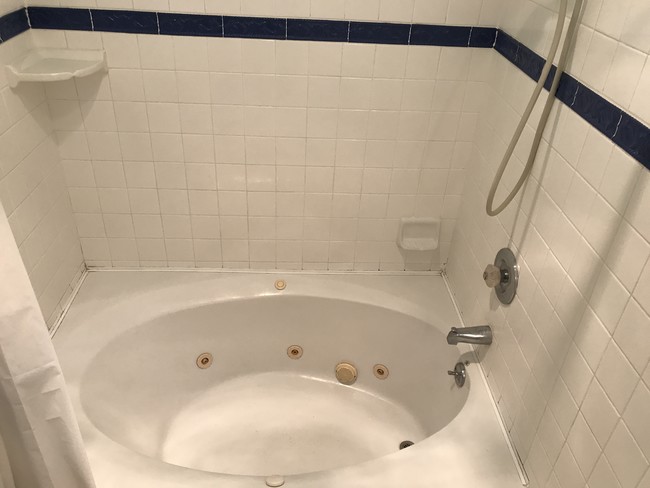Master Bathtub - 440 Veteran Ave