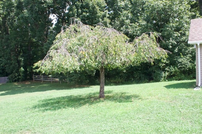 Building Photo - For Rent - Charming 3BR/2BA Home in Macken...