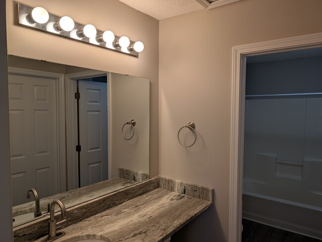 Master Bathroom - 1381 Pinnacle Ln