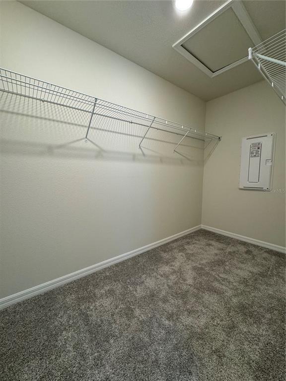 Building Photo - 105 Violet Vine Ln