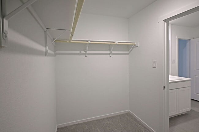 Building Photo - 1502 Tiptop Mdw