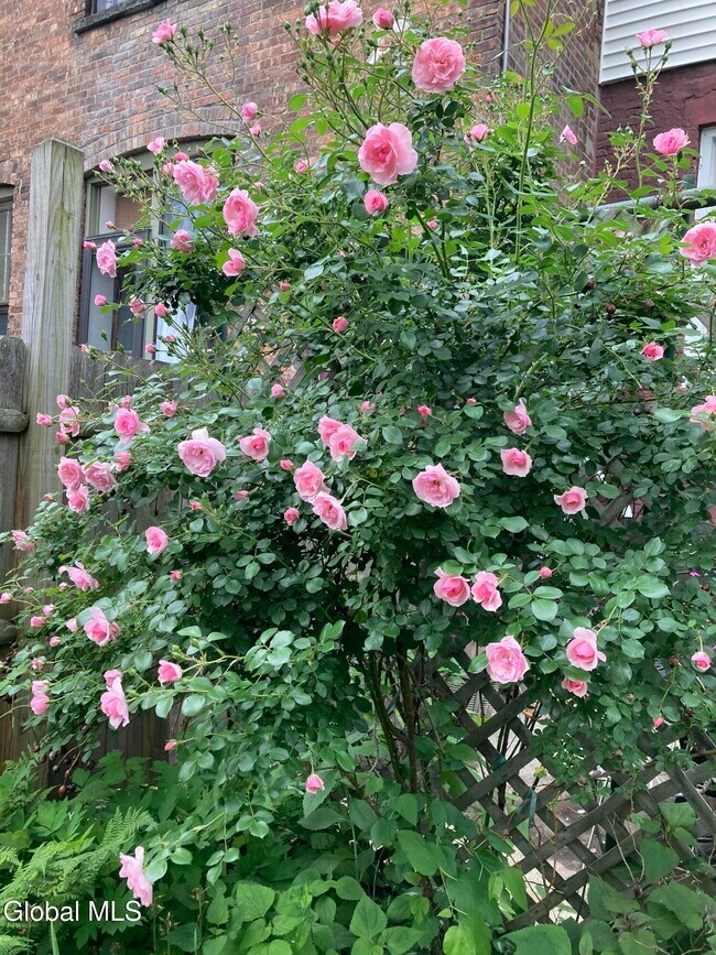 Building Photo - 162 4th St