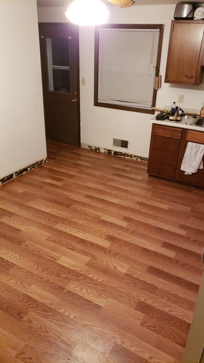 Kitchen (updated flooring) - 231 Coolidge St