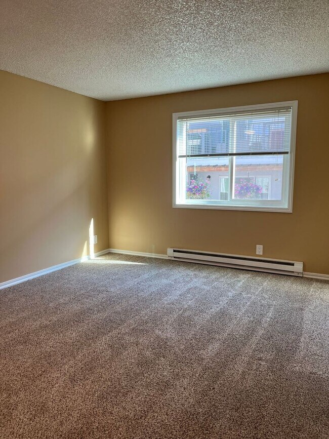 Building Photo - 2 Bed • 1 Bath Downstairs Unit