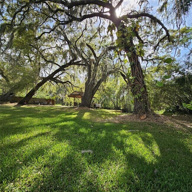 Building Photo - 3148 Boggy Terrace Dr