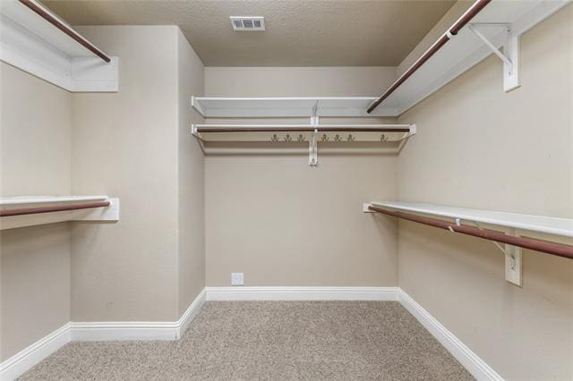 Building Photo - 731 Buffalo Springs Dr