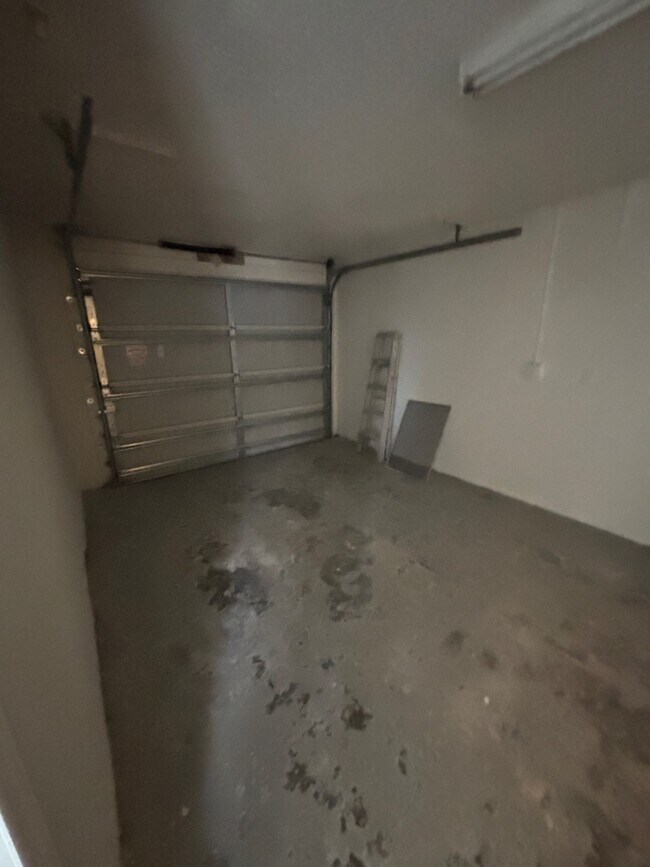 Building Photo - 4515 Needle Palm Dr