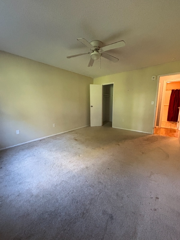 Building Photo - 79 Balance Rock Rd