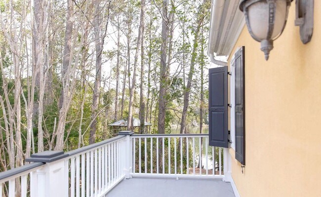 Building Photo - 4 Bedroom 4 Bath Furnished House in I'On -...