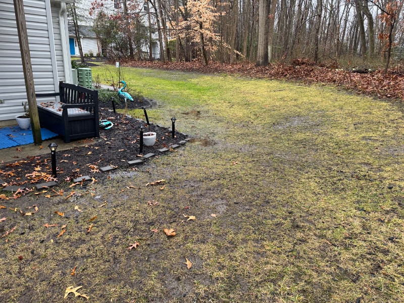 Building Photo - 703 Quail Rd