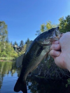 Building Photo - 432 72nd St SE