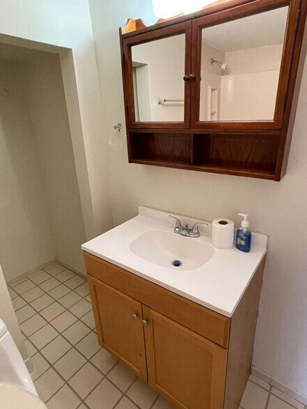 Bathroom Sink - 9 Manchester Ave