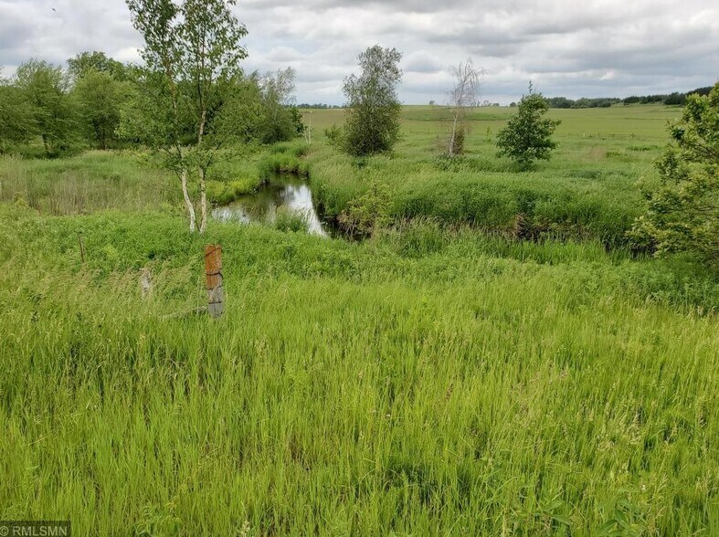 Trout stream on property. - 1559 30th Ave