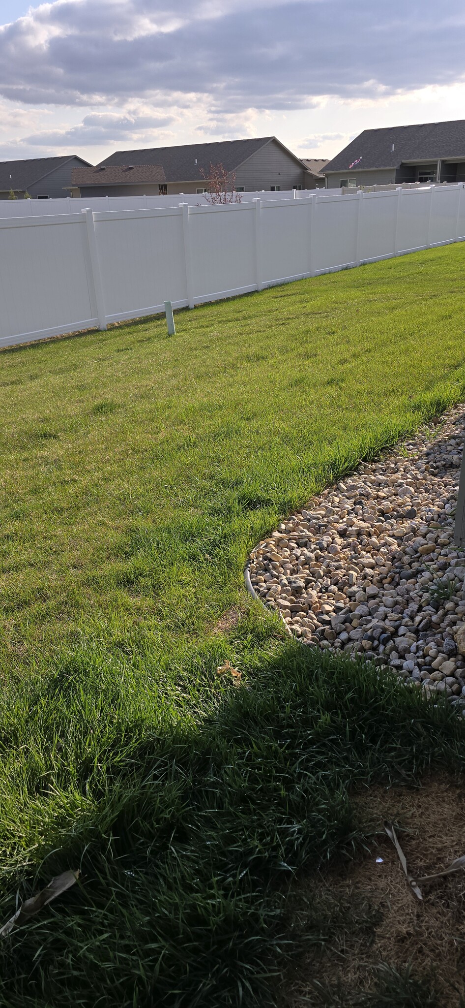 Lawn in back. - 3509 E Bison Trl